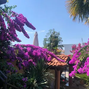 Ana Apartman